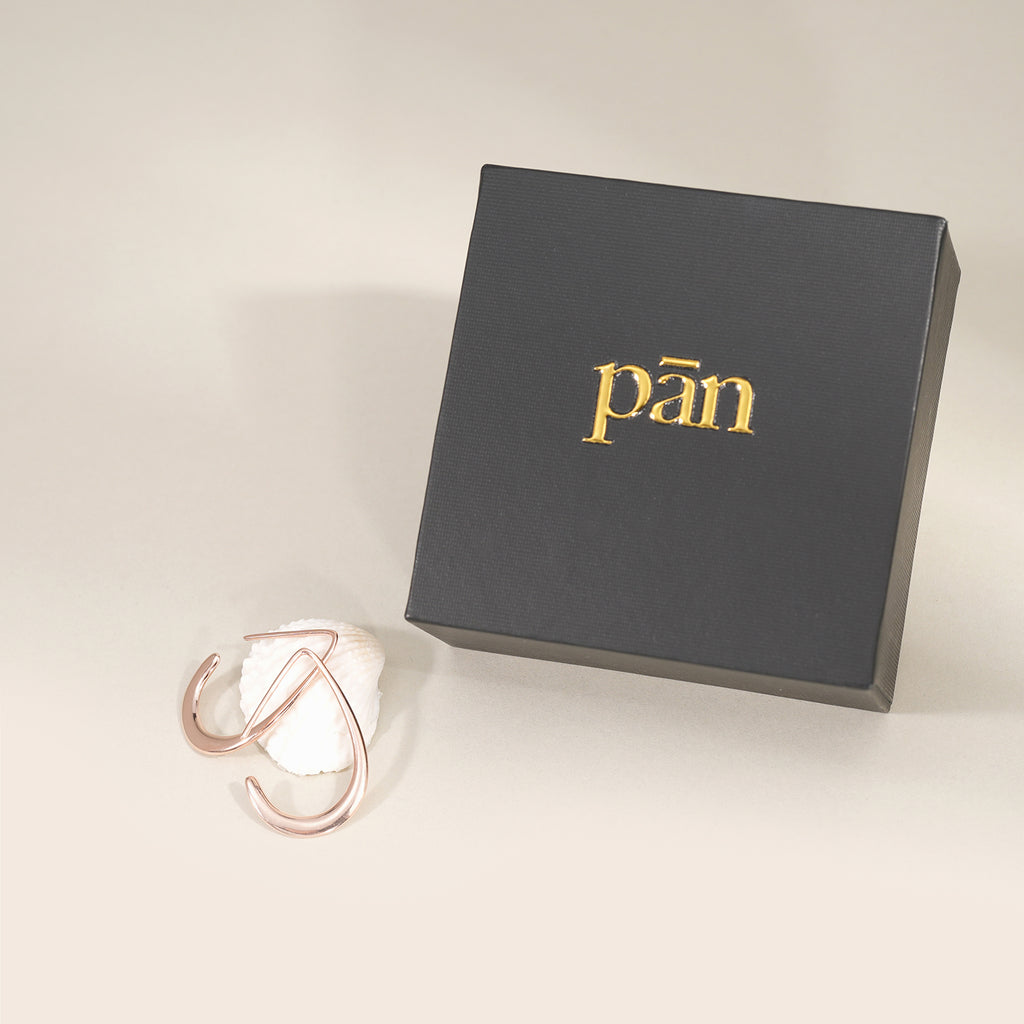 pān Teardrop Hook Earrings — Sterling Silver